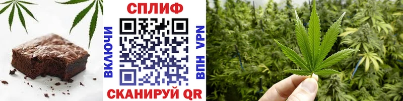 даркнет сайт  гидра как войти  Cannafood конопля  Дагестанские Огни 