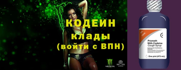 индика Баксан