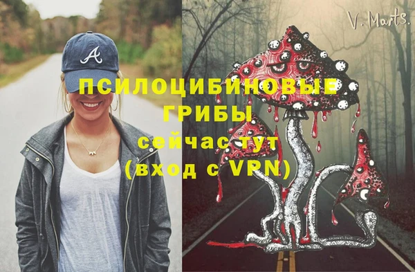 ALPHA PVP Белокуриха