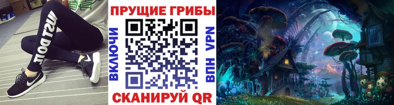 Псилоцибиновые грибы мицелий  MEGA как зайти  Дагестанские Огни 